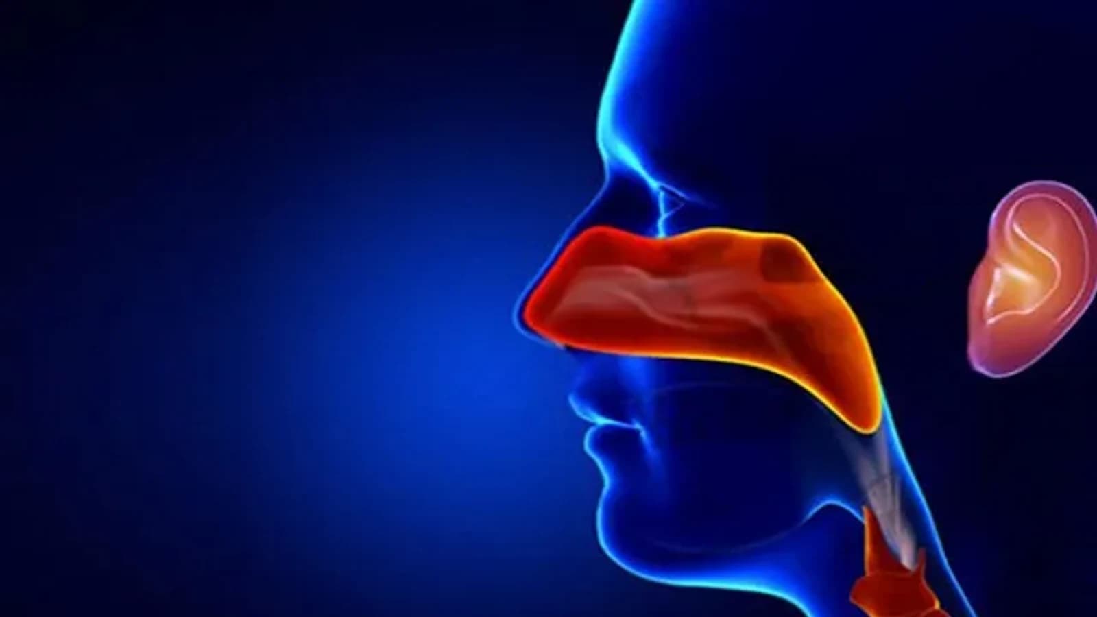 تصویر بخش کلینیک گوش، حلق و بینی